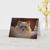 Trage dagen, kaart (Gele Bloem)