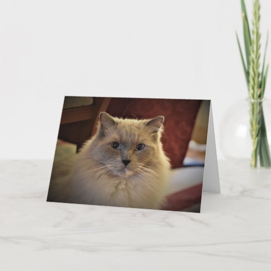 Trage dagen, kaart (Voorkant)