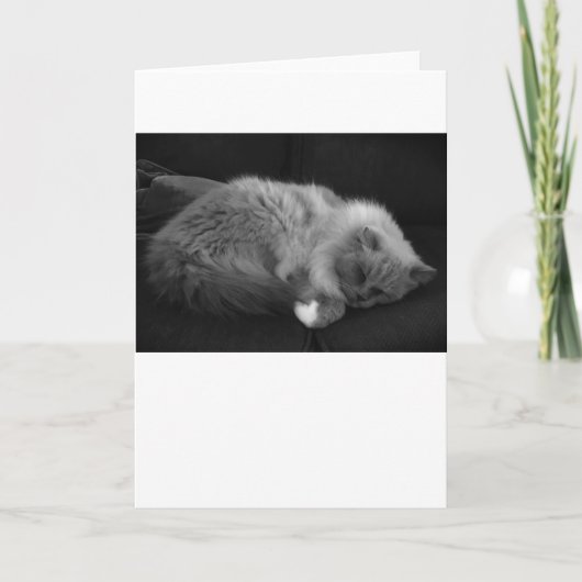 Trage dagen, kaart (Voorkant)