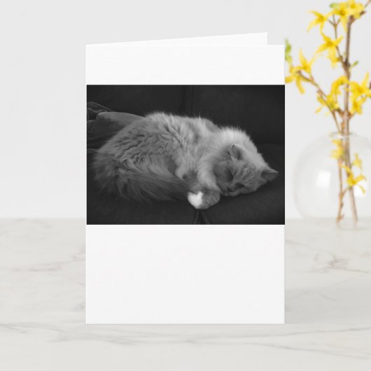 Trage dagen, kaart (Gele Bloem)