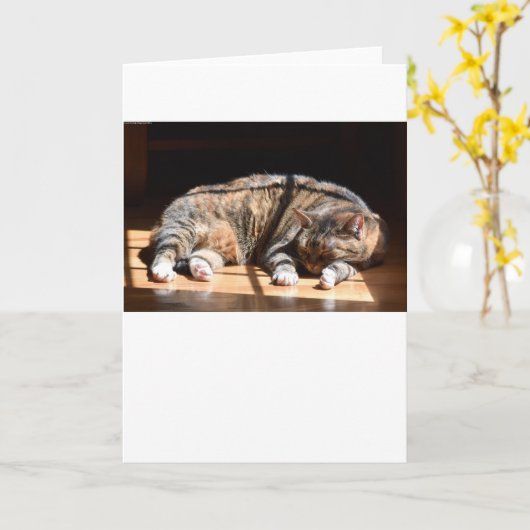 Trage dagen, kaart (Gele Bloem)