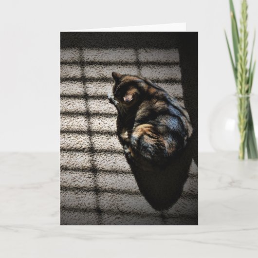 Trage dagen, kaart (Voorkant)