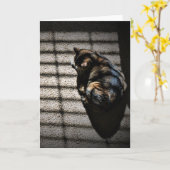 Trage dagen, kaart (Gele Bloem)