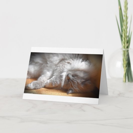 Trage dagen, kaart (Voorkant)