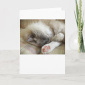 Trage dagen, kaart (Voorkant)