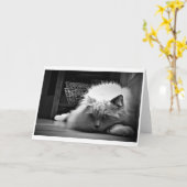 Trage dagen, kaart (Gele Bloem)