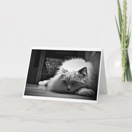 Trage dagen, kaart (Voorkant)