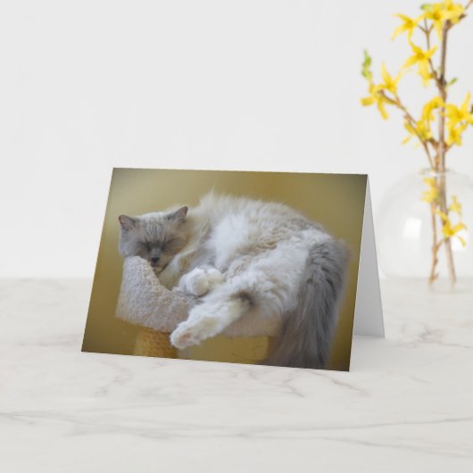 Trage dagen, kaart (Gele Bloem)