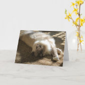 Trage dagen, kaart (Gele Bloem)