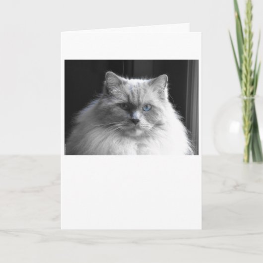 Trage dagen, kaart (Voorkant)