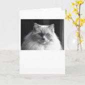 Trage dagen, kaart (Gele Bloem)