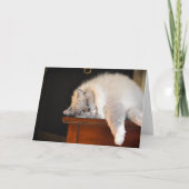 Trage dagen, kaart (Voorkant)