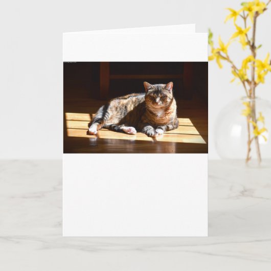 Trage dagen, kaart (Gele Bloem)