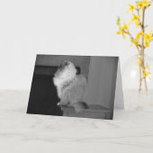 Trage dagen, kaart (Gele Bloem)