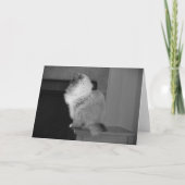 Trage dagen, kaart (Voorkant)