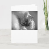 Trage dagen, kaart (Voorkant)