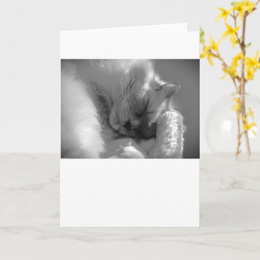 Trage dagen, kaart (Gele Bloem)