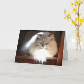 Trage dagen, kaart (Gele Bloem)