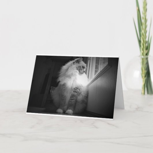 Trage dagen, kaart (Voorkant)