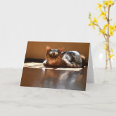 Trage dagen, kaart (Gele Bloem)