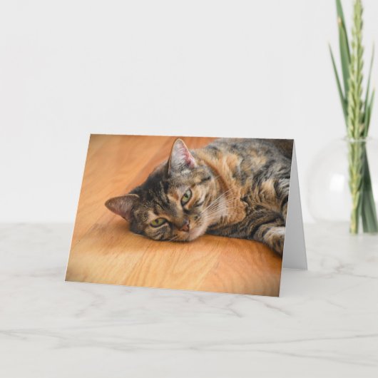 Trage dagen, kaart (Voorkant)