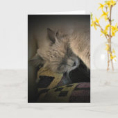 Trage dagen, kaart (Gele Bloem)