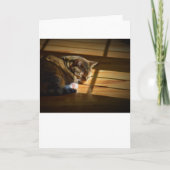 Trage dagen, kaart (Voorkant)