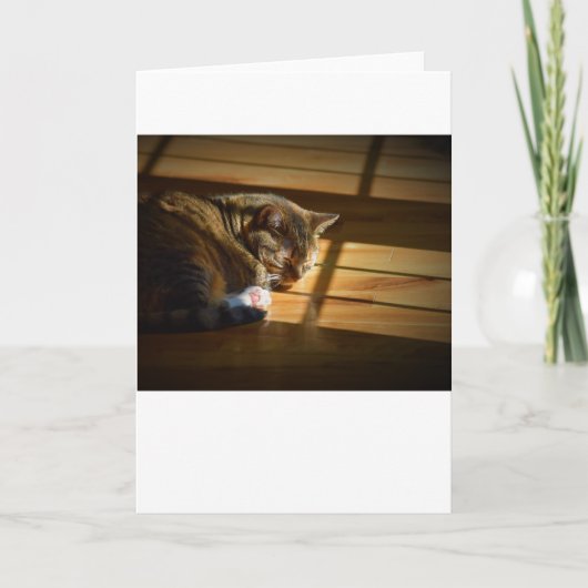 Trage dagen, kaart (Voorkant)