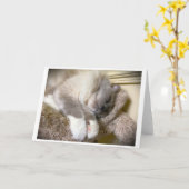 Trage dagen, kaart (Gele Bloem)