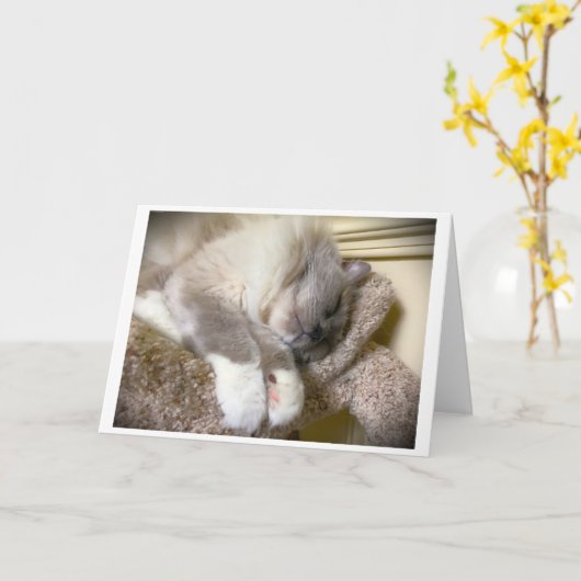 Trage dagen, kaart (Gele Bloem)