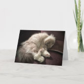 Trage dagen, kaart (Voorkant)