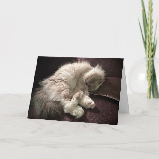 Trage dagen, kaart (Voorkant)