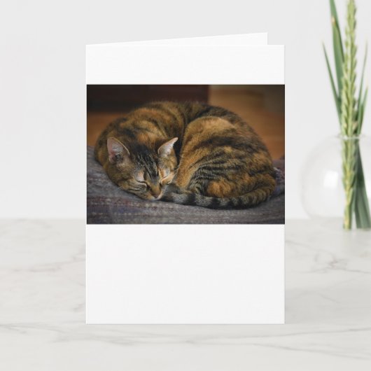 Trage dagen, kaart (Voorkant)