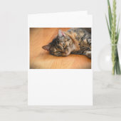 Trage dagen, kaart (Voorkant)