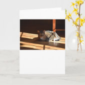 Trage dagen, kaart (Gele Bloem)