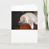 Trage dagen, kaart (Voorkant)