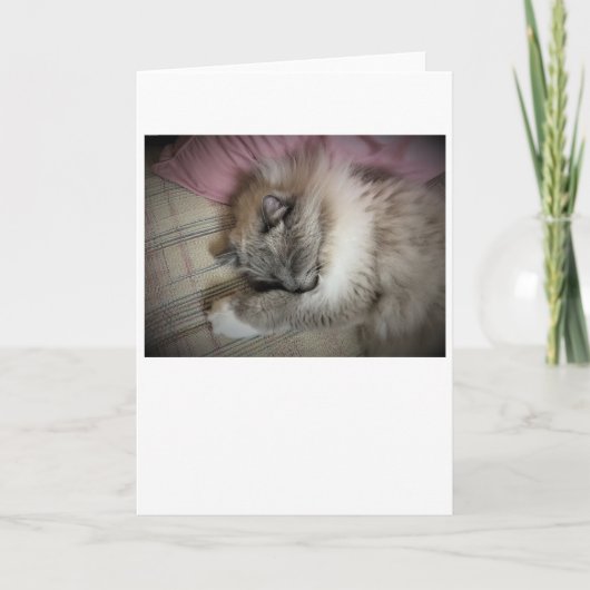 Trage dagen, kaart (Voorkant)