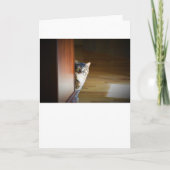 Trage dagen, kaart (Voorkant)