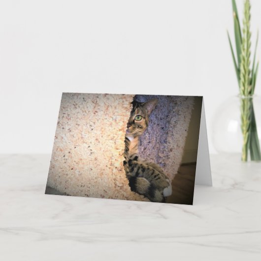 Trage dagen, kaart (Voorkant)