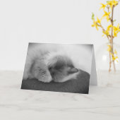 Trage dagen, kaart (Gele Bloem)