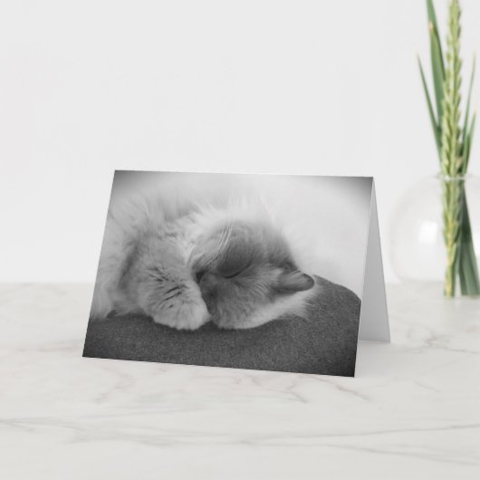 Trage dagen, kaart (Voorkant)