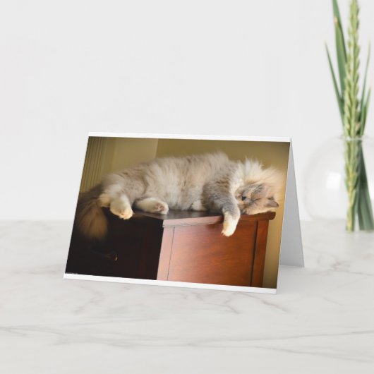 Trage dagen, kaart (Voorkant)