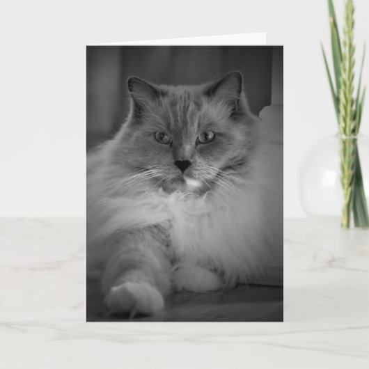 Trage dagen, kaart (Voorkant)