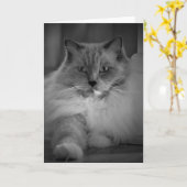 Trage dagen, kaart (Gele Bloem)