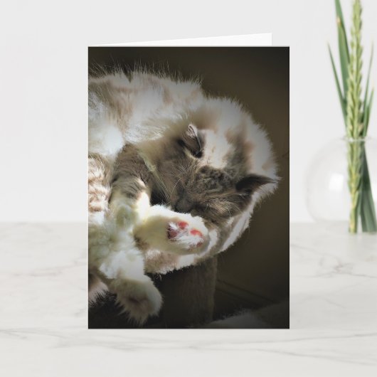 Trage dagen, kaart (Voorkant)