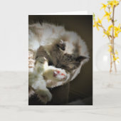 Trage dagen, kaart (Gele Bloem)