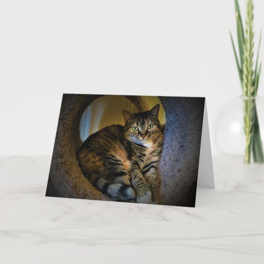 Trage dagen, kaart (Voorkant)