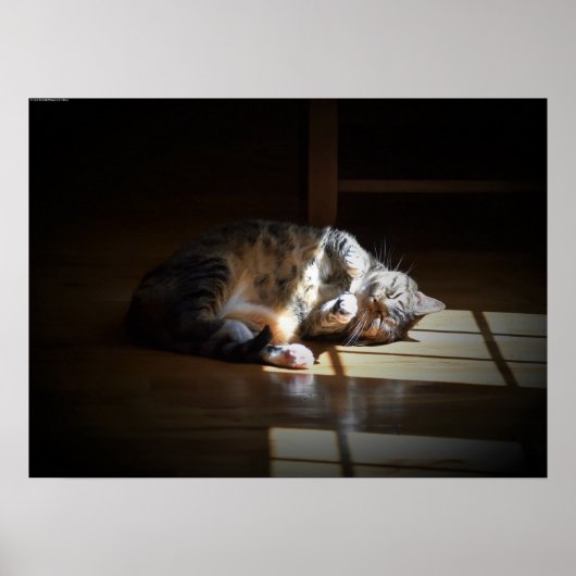 Trage dagen, poster (Voorkant)