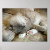 Trage dagen, poster (Voorkant)