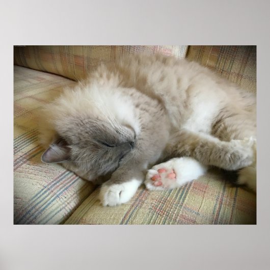 Trage dagen, poster (Voorkant)